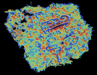 Download the full-sized image of Penedo do Muro 1 Enhanced Visualization Colour [dataset]