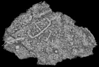 Download the full-sized image of Eira do Louvado Enhanced Visualization Grey [dataset]